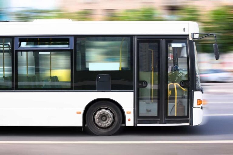 Vieste, iniziano i sabati di Santa Maria di Merino: come funzionano i pulman per raggiungere il santuario