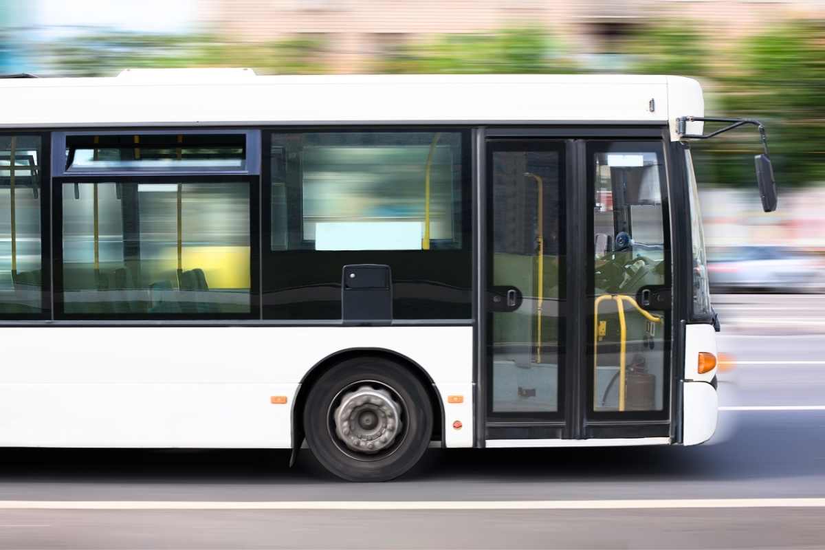 Vieste, iniziano i sabati di Santa Maria di Merino: come funzionano i pulman per raggiungere il santuario